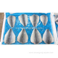 Frozen Pacific Mackerel Flaps Fish 70-150g 100-200g